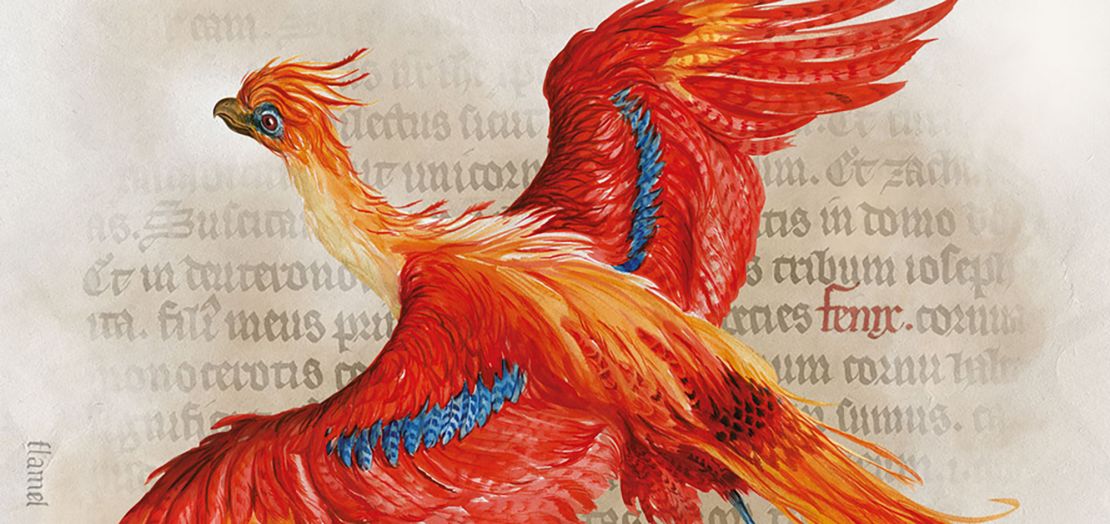 Jim Kay's painting captures the colors of the phoenix, which Harry Potter met in his second year at Hogwarts. 