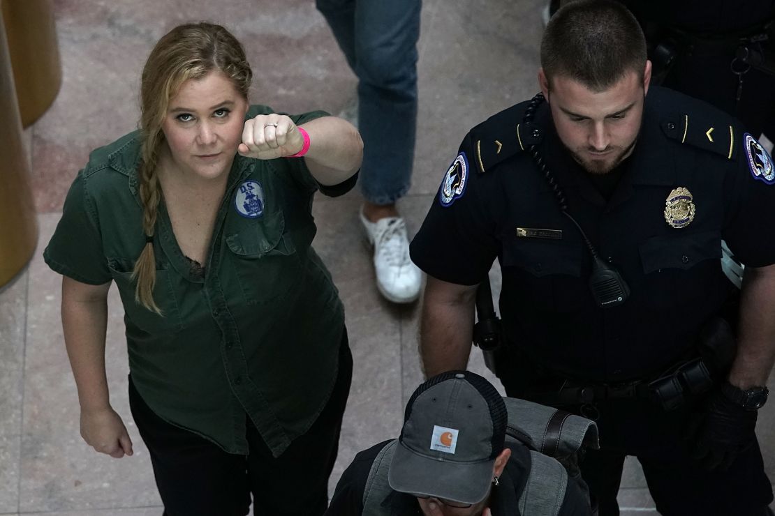 Comedian Amy Schumer is led away after she was arrested.