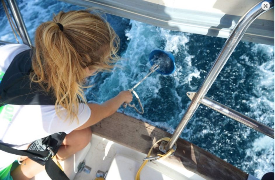 When hitch-sailing, the crew all share chores such as cooking, cleaning and night watches. Here, Van der Veeken washes dishes from the side of the boat.