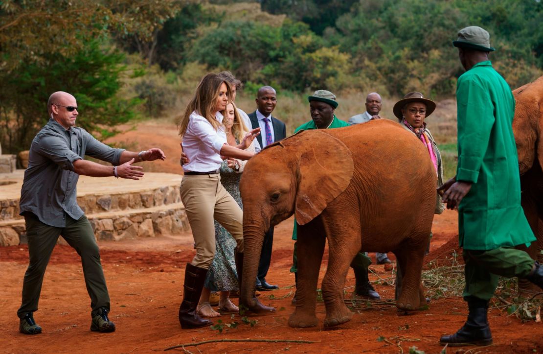 Two rambunctious baby elephants bump into First lady Melania Trump as she pets one at David Sheldrick Elephant & Rhino Orphanage at Nairobi National Park in Nairobi, Kenya, Friday, Oct. 5, 2018. (AP Photo/Carolyn Kaster)