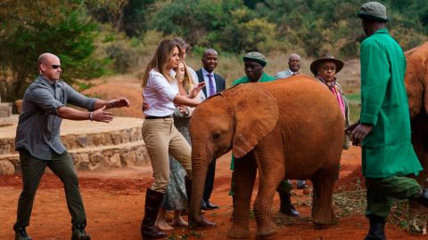 Two rambunctious baby elephants bump into First lady Melania Trump as she pets one at David Sheldrick Elephant & Rhino Orphanage at Nairobi National Park in Nairobi, Kenya, Friday, Oct. 5, 2018. (AP Photo/Carolyn Kaster)