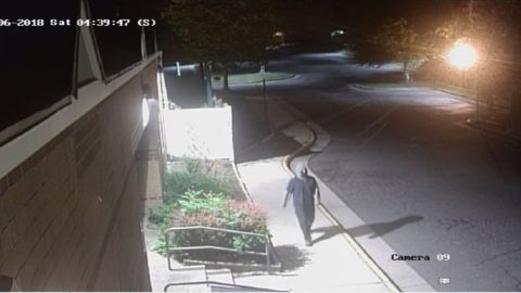 Surveillance footage from the Jewish Community Center of Northern Virginia in Fairfax County shows the person who spray-painted swastikas on the building early Saturday.