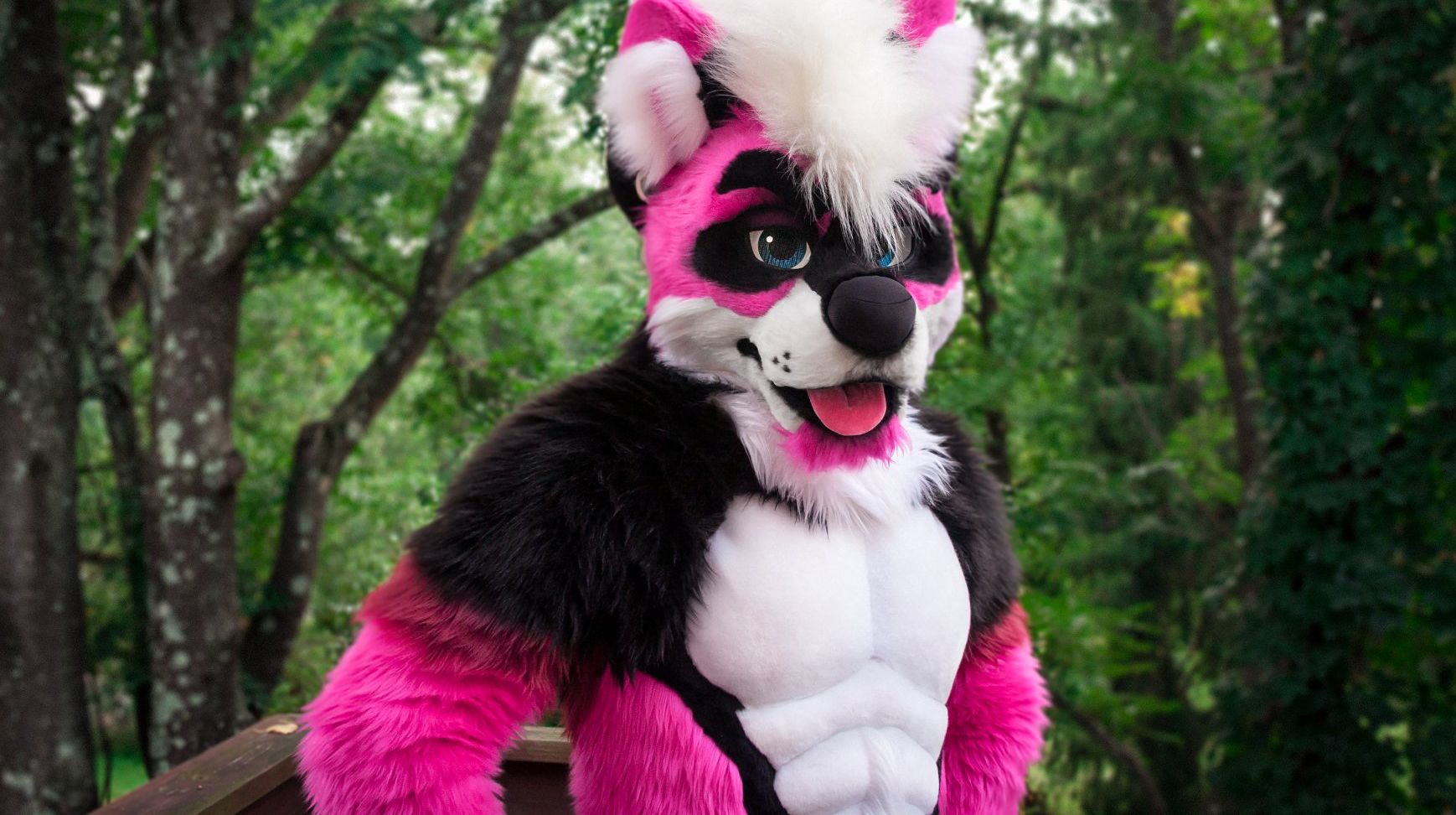 181007184119-furry-costume-pink-wolf.jpg?q=w_1738,h_972,x_0,y_0,c_fill