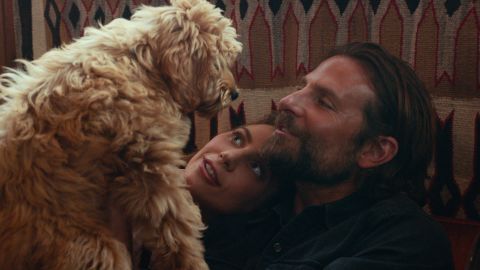 Ally (Lady Gaga) and Jackson (Bradley Cooper) get a dog in "A Star is Born." Cooper, the film's director, cast his own dog, Charlie, to play the adult version of the pup. 