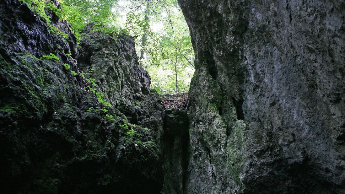 Two small bones from the Ciemna Cave in Poland are the oldest human remains found in the country. The condition of the bones also suggests that the child was eaten by a large bird. 