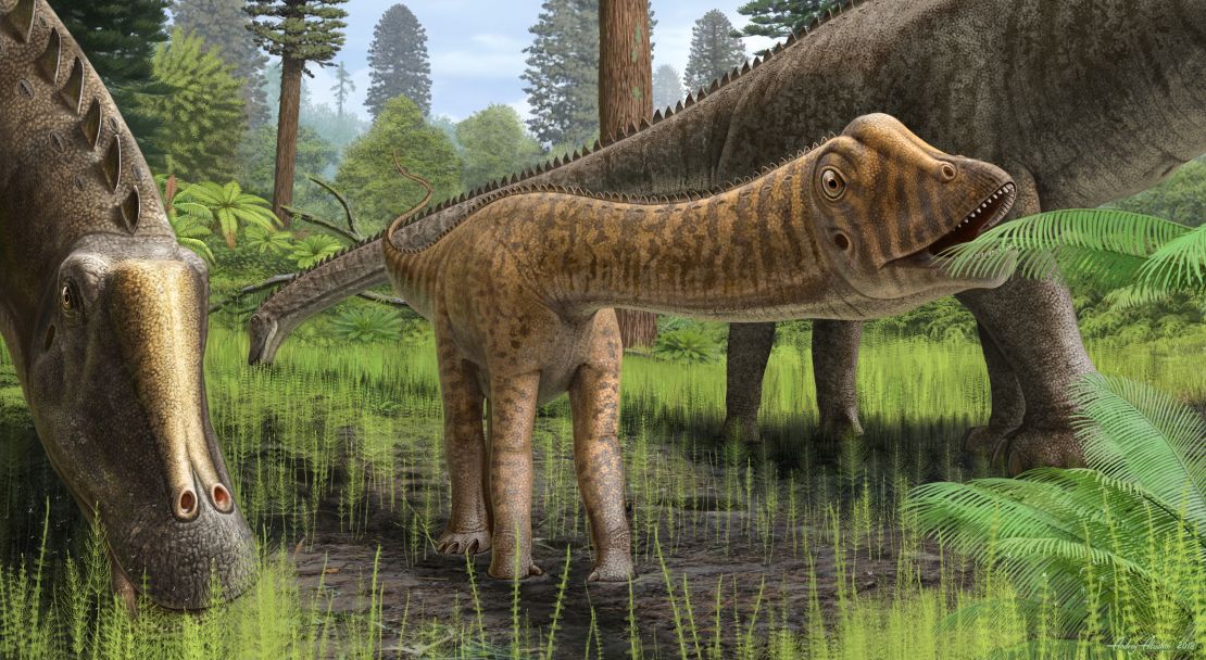 Reconstruction of the young Diplodocus Andrew in its environment.