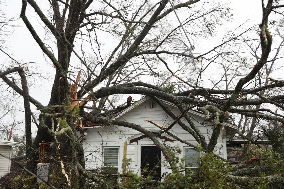 Trees lie on top of a home in Panama City.