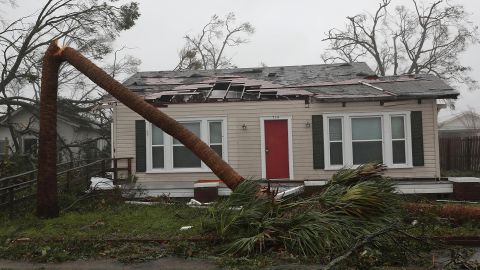 Michael pokes holes in the roof of a Panama City home and snaps a palm tree Wednesday.  