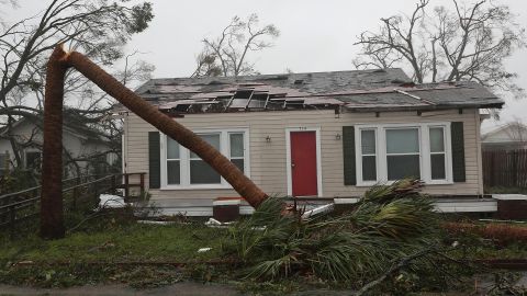 Michael pokes holes in the roof of a Panama City home and snaps a palm tree Wednesday.
