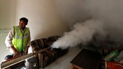 A public health department worker fumigates inside a house to prevent the spread of mosquito borne diseases in New Delhi, India, October 9, 2018. REUTERS/Anushree Fadnavis