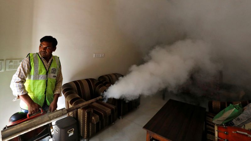 Zika Virus Infection Fast Facts