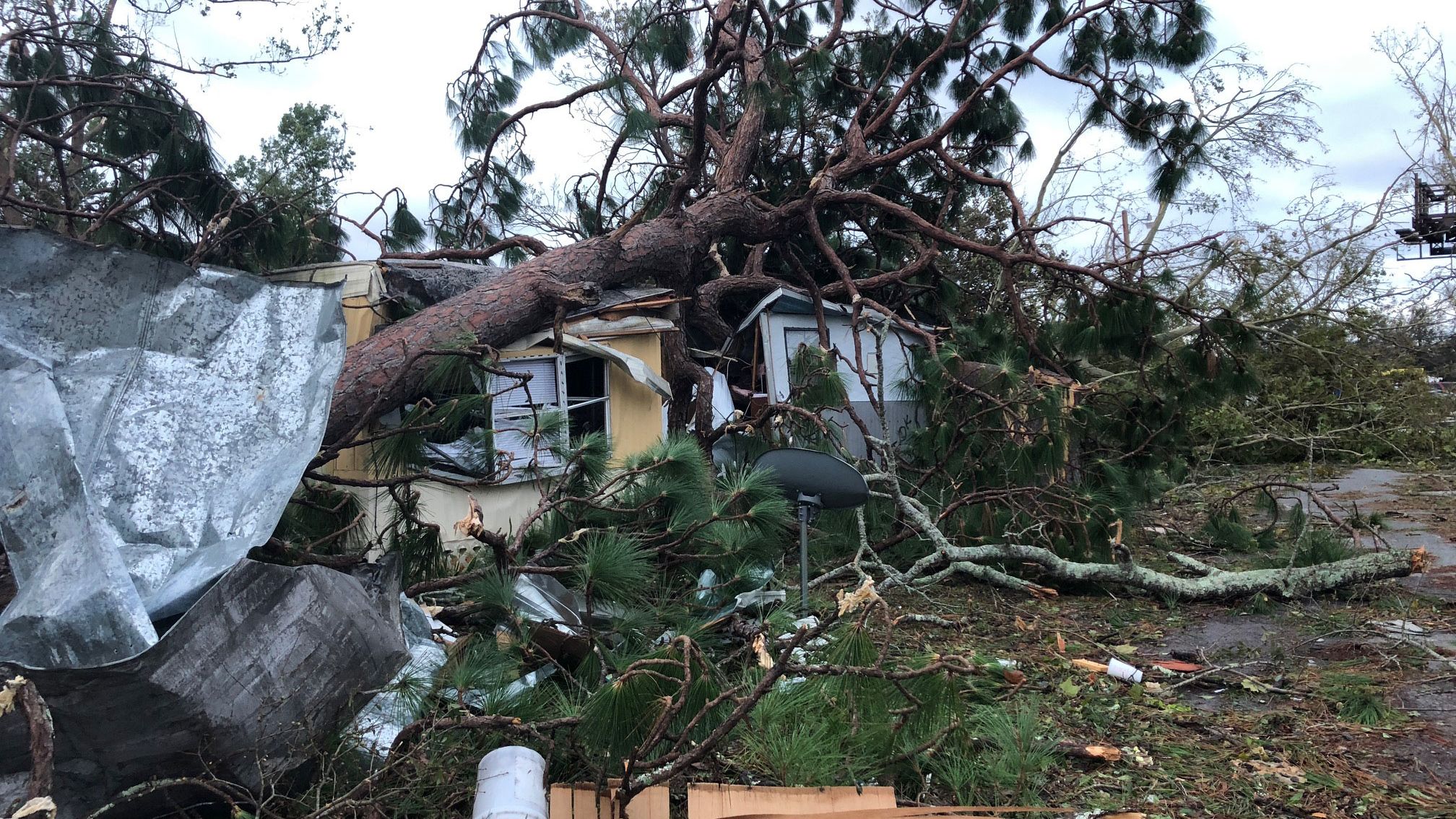 A tree sits on top of a Panama City mobile home. Almost all the residents of the mobile-home park rode out the storm. All homes were damaged except one.