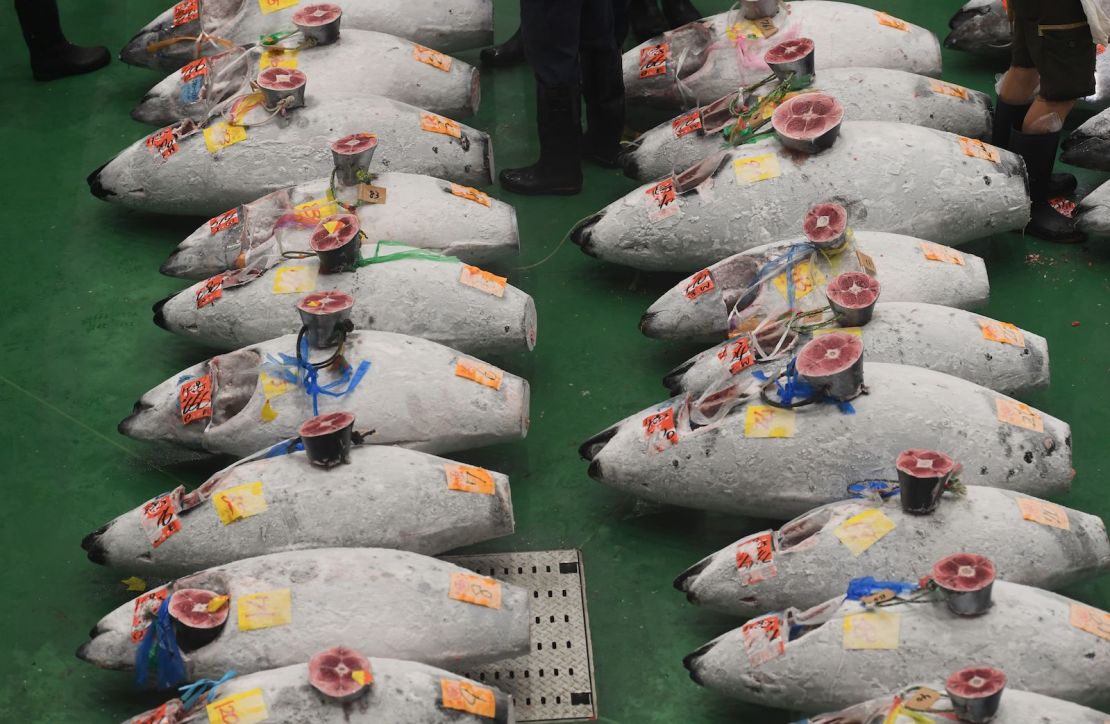 Frozen tuna on display for the first auction at the new Toyosu fish market. 