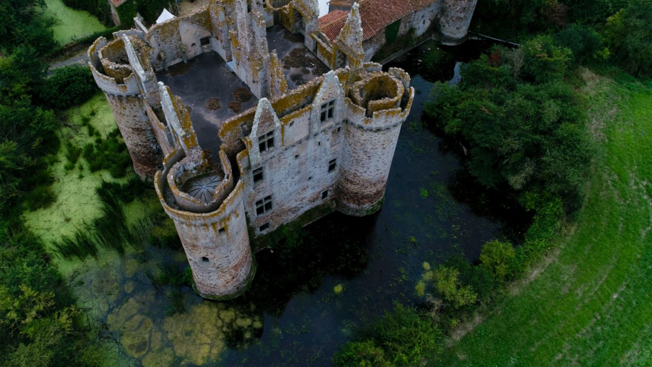 You could part own this fairy-tale French castle, Ebaupinay.