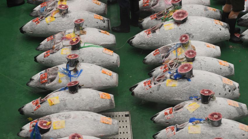 Frozen tuna fishes are displayed for the first tuna auction at the new Toyosu fish market, the first day of the market's opening in Tokyo on October 11, 2018. (Photo by Toshifumi KITAMURA / AFP)        (Photo credit should read TOSHIFUMI KITAMURA/AFP/Getty Images)