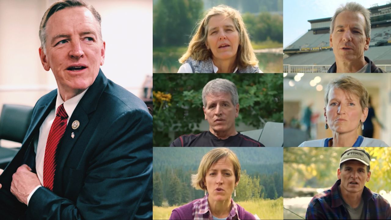 rep gosar siblings political ad