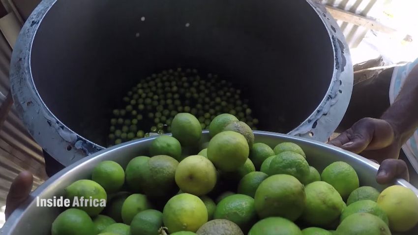 Rodrigues Mauritius lemon biodiversity _00012821.jpg