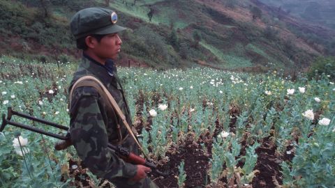 A United Wa State Army soldier in a poppy field in 1995.