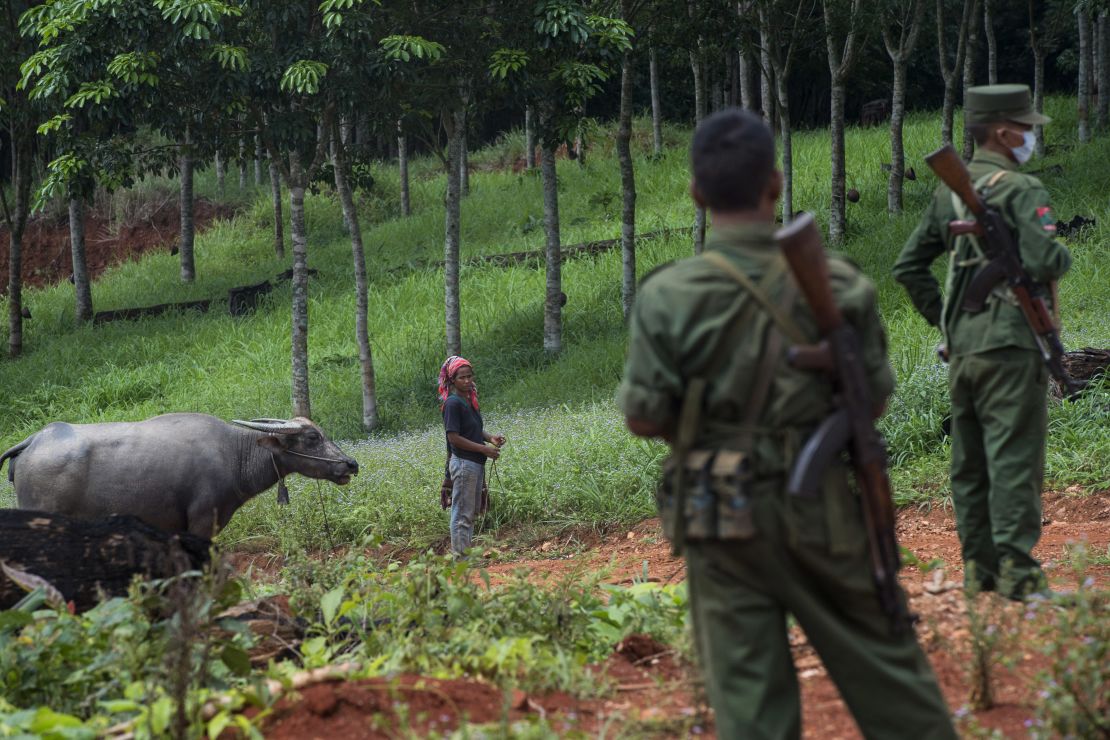 This photo taken on June 26, 2017 shows a Wa ethnic woman with a buffalo seen next to members of the United Wa State Army in the Poung Par Khem region, near the Thai-Myanmar border. 