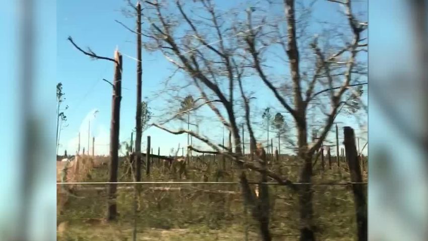 tree farm evacuee clip hurricane michael_00000622.jpg