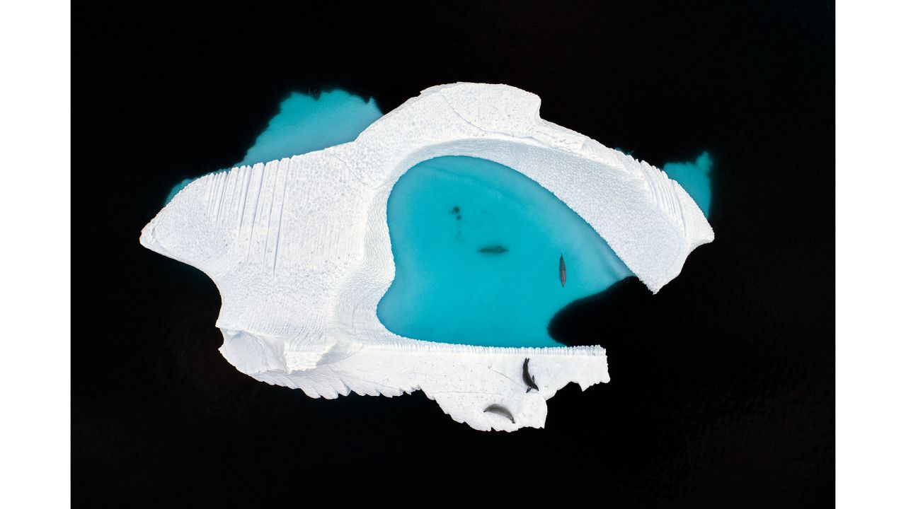 Category: Creative Visions. In the Antarctic, a drone captures a heart-shaped pool created by a melting iceberg.