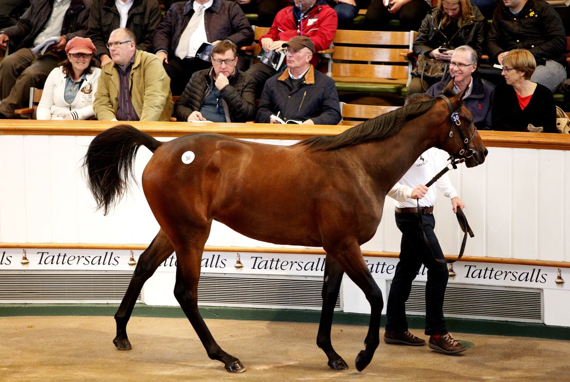 Lot 30, a bay filly by Galileo sells for 1,300,000 guineas to John Magnier during the Tattersalls auction sales in October  2015 in Newmarket.