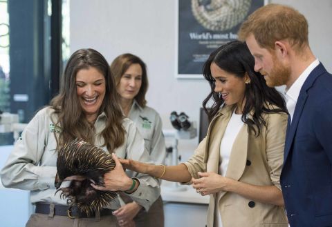 The Duke and Duchess meet an echidna held by Dr. Michelle Shaw during a visit to Taronga Zoo in Sydney. Echidnas sometimes are known as spiny anteaters.