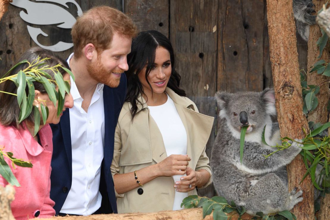 The Duke and Duchess of Sussex announced they were expecting a baby during their Australian tour.