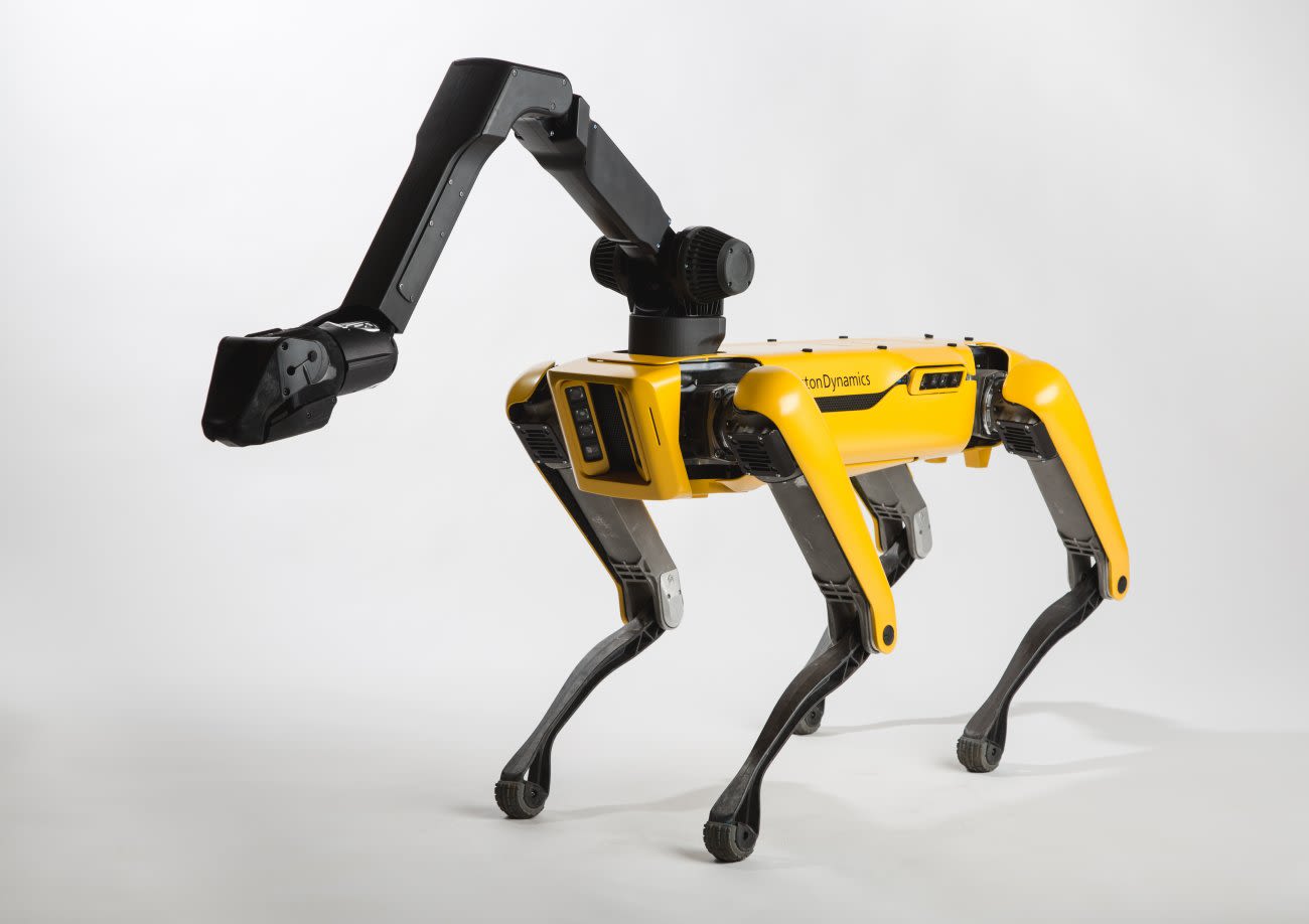 robotic dog has some must-see moves | CNN Business