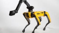 Boston Dynamics Spot Mini