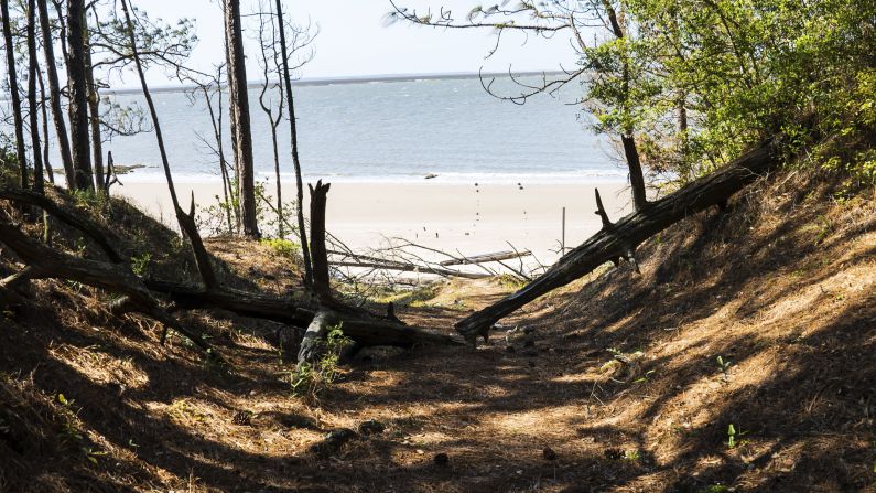 <strong>17 miles of pristine beach. </strong>There's no construction interrupting Cumberland Island's 17 miles of beachfront but there are dunes that make it a key nesting spot for loggerhead sea turtles and a sanctuary for migrating shore birds. (There are no lifeguards on duty.)