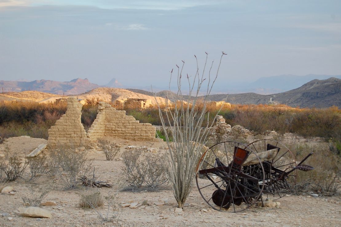 Texas desert featuring an ocotillo plant, indigenous to this area and parts of northern Mexico.