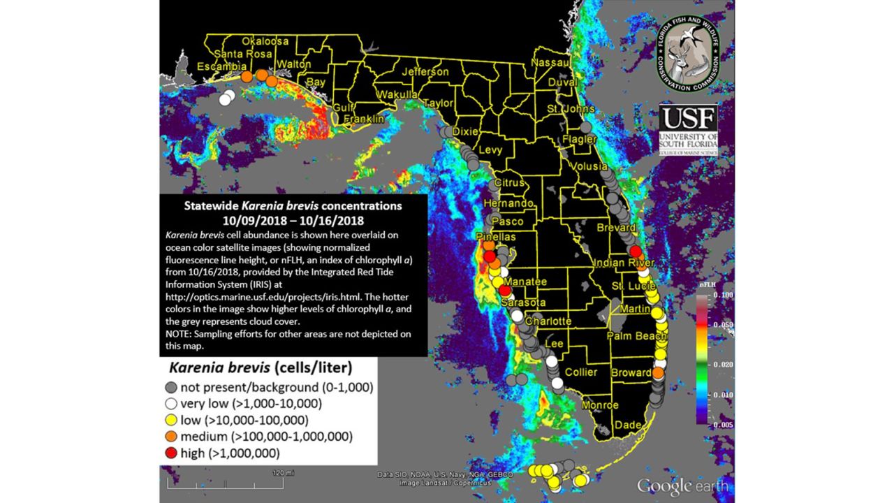 The latest red tide forecast for Florida.