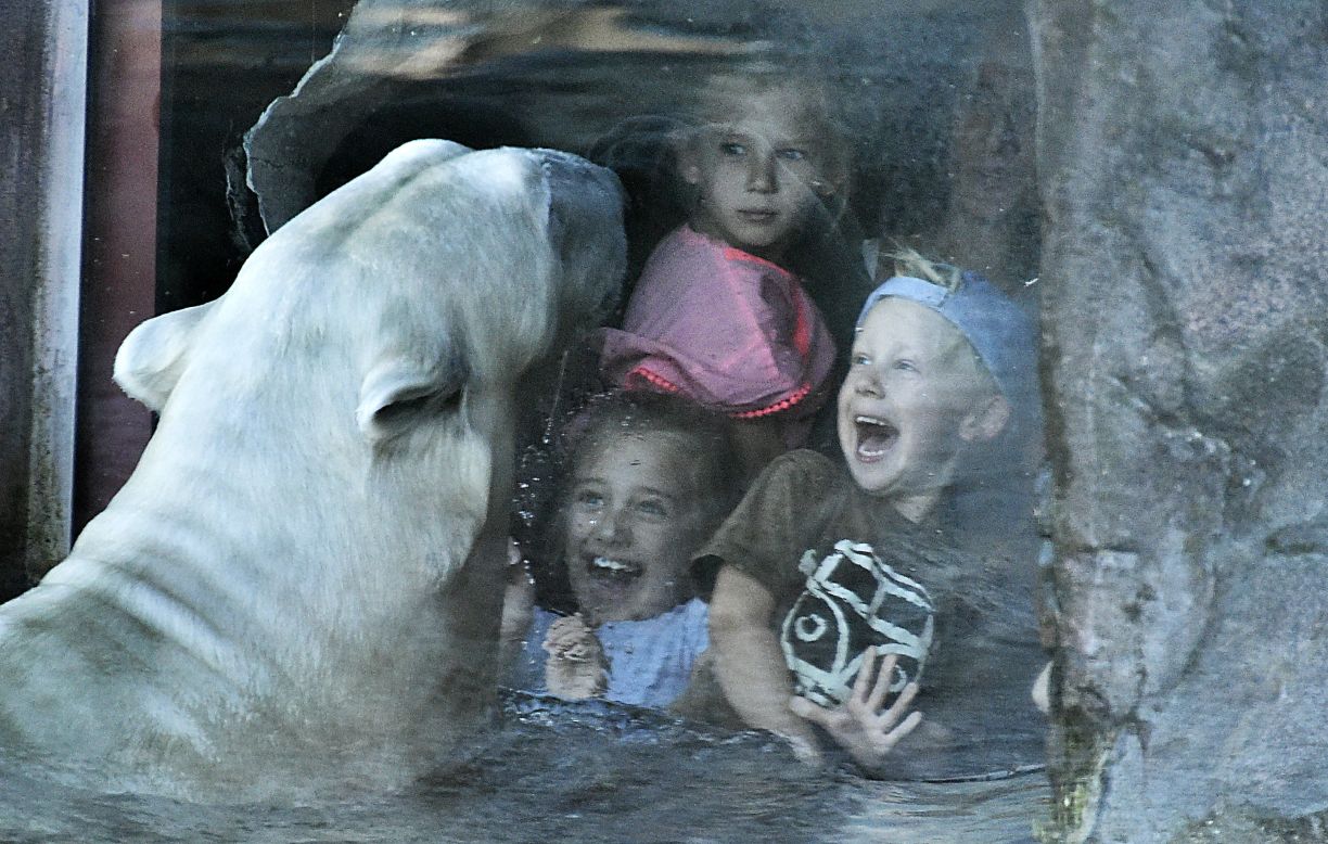 Separated by a security window, young visitors and a polar bear watch each other at the zoo in Gelsenkirchen, Germany, on Tuesday, October 16. 