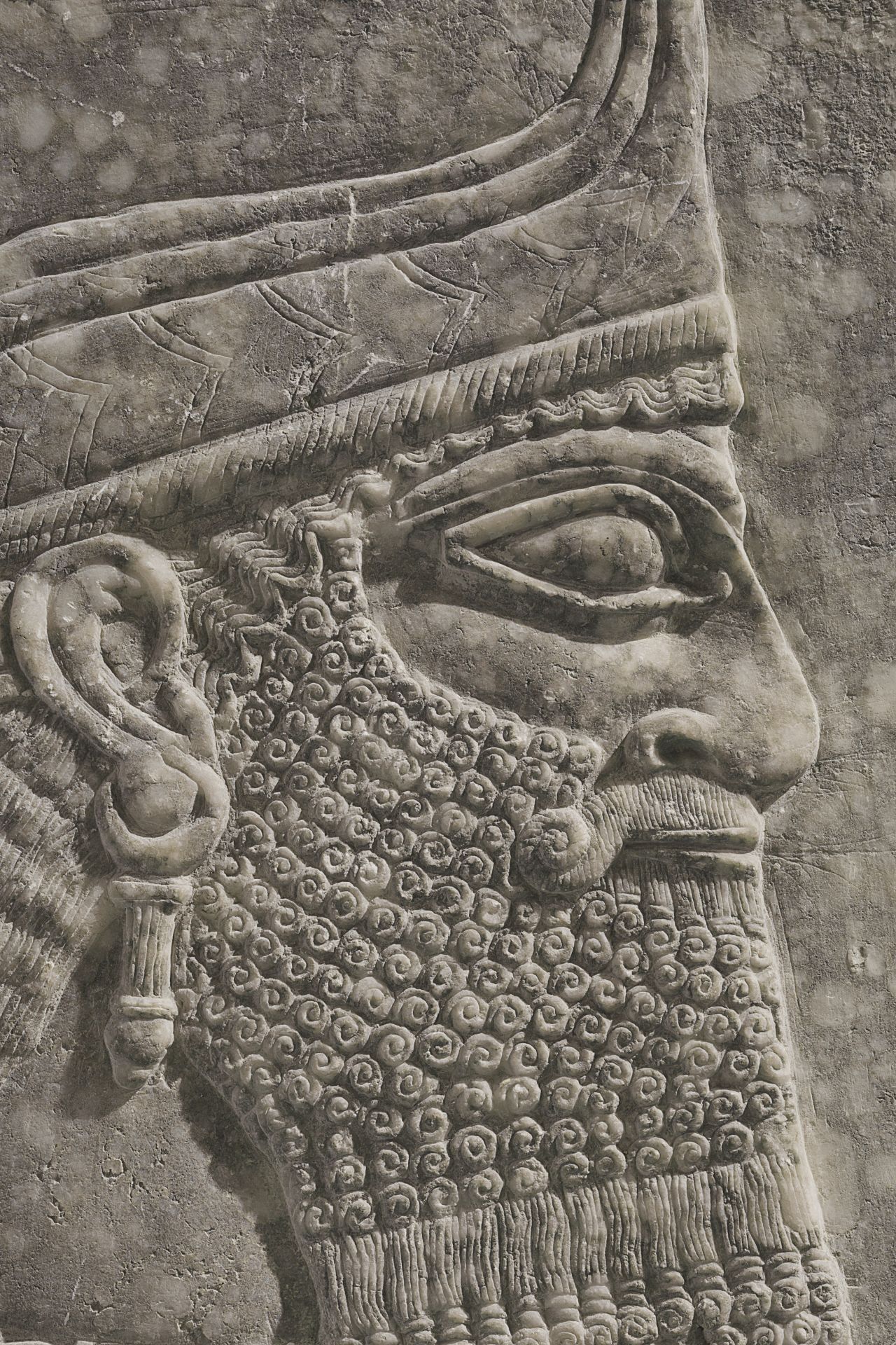 The face of the winged genius, with its almond-shaped eye, broad nose and tightly-curled beard, bears a close resemblance to King Ashurnasirpal II.  