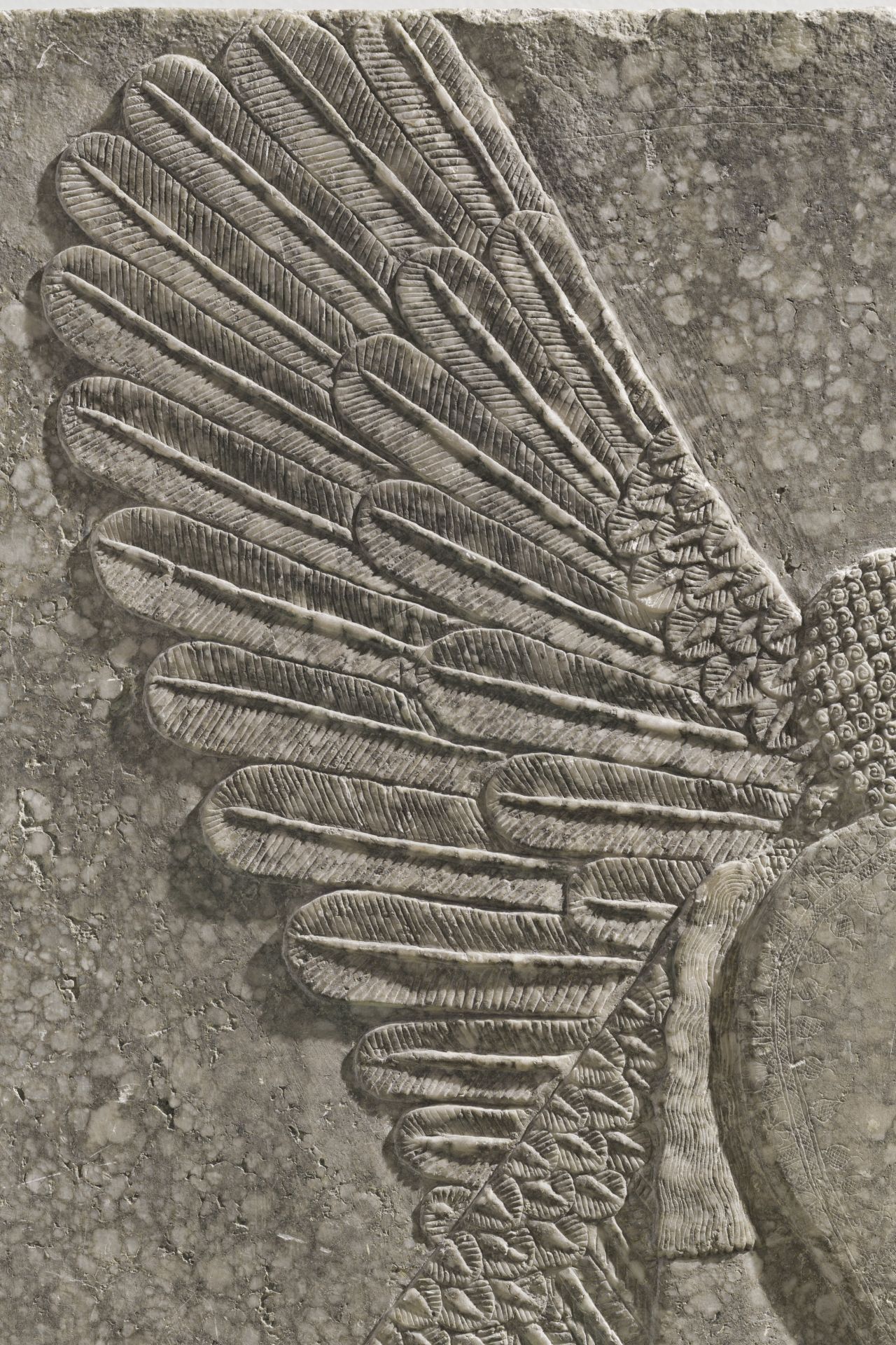 The feathers of his wings are intricately rendered.