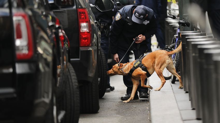 NEW YORK, NY - OCTOBER 24:  A Police bomb sniffing dog is deployed outside of the Time Warner Center after an explosive device was found this morning on October 24, 2018 in New York City. CNN's office at the center was evacuated after a package arrived that was similar to suspicious packages found near the homes of Bill and Hillary Clinton, the Obamas and billionaire philanthropist George Soros.  (Photo by Spencer Platt/Getty Images)