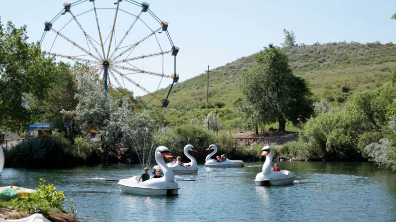 <strong>On the water:</strong> There are nine swan paddle boats going under the hammer, eight white and one black. 