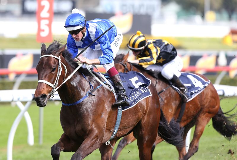 Winx Cracksman joins wonder mare as world s top ranked race horse