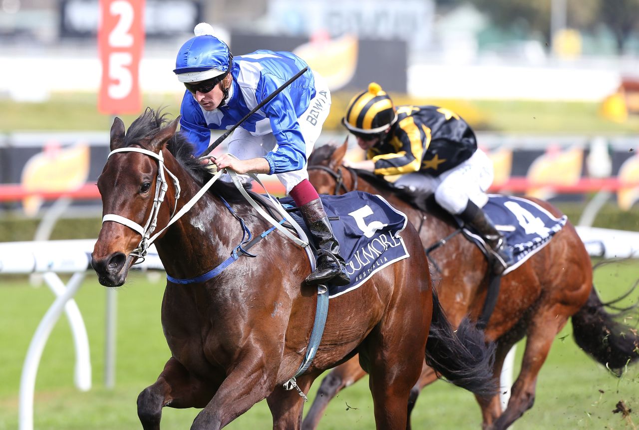 Winx made her competitive debut in 2014, winning her first two races of the season. 