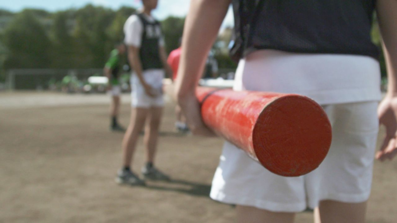 A pole can reach anywhere from 10 to 16 feet.