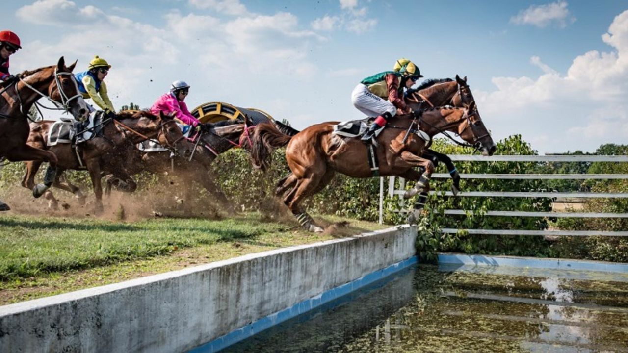 The course involves grass and ploughed fields as well as 31 obstacles.