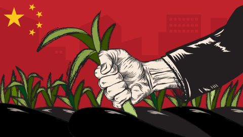 20181026-Chinese-middle-class-leeks-illo