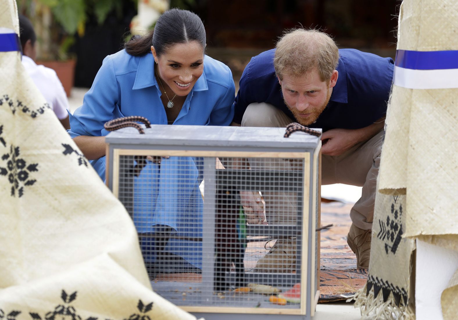 Harry and Meghan look at a parrot during a visit to Tupou College in Tonga on Friday, October 26.