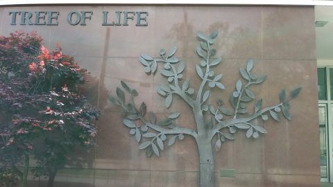 01 tree of life synagogue