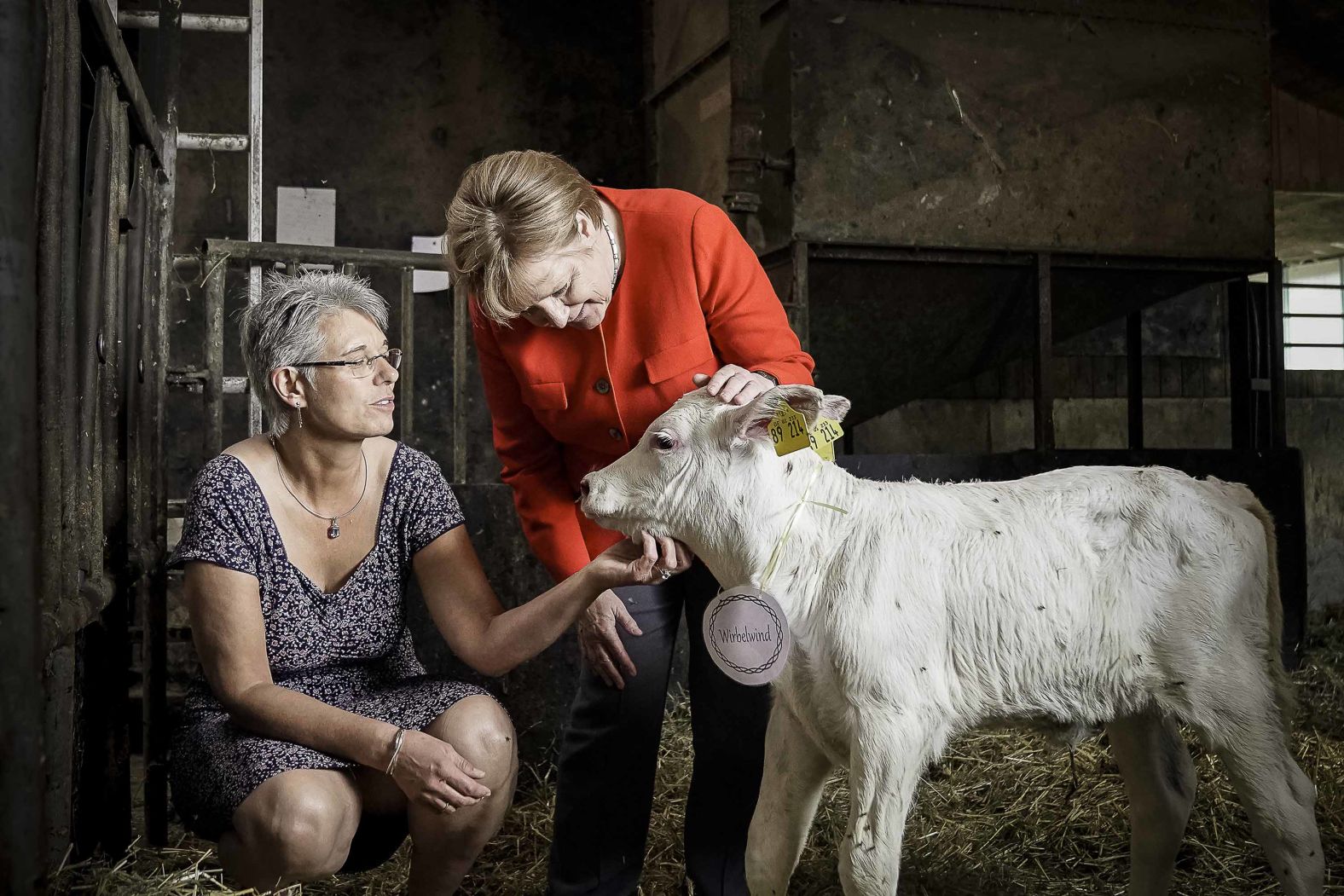 In this handout photo provided by the German Government Press Office in July 2018, Merkel meets a newborn calf during a visit to the Trede family dairy farm in Nienborstel, Germany.