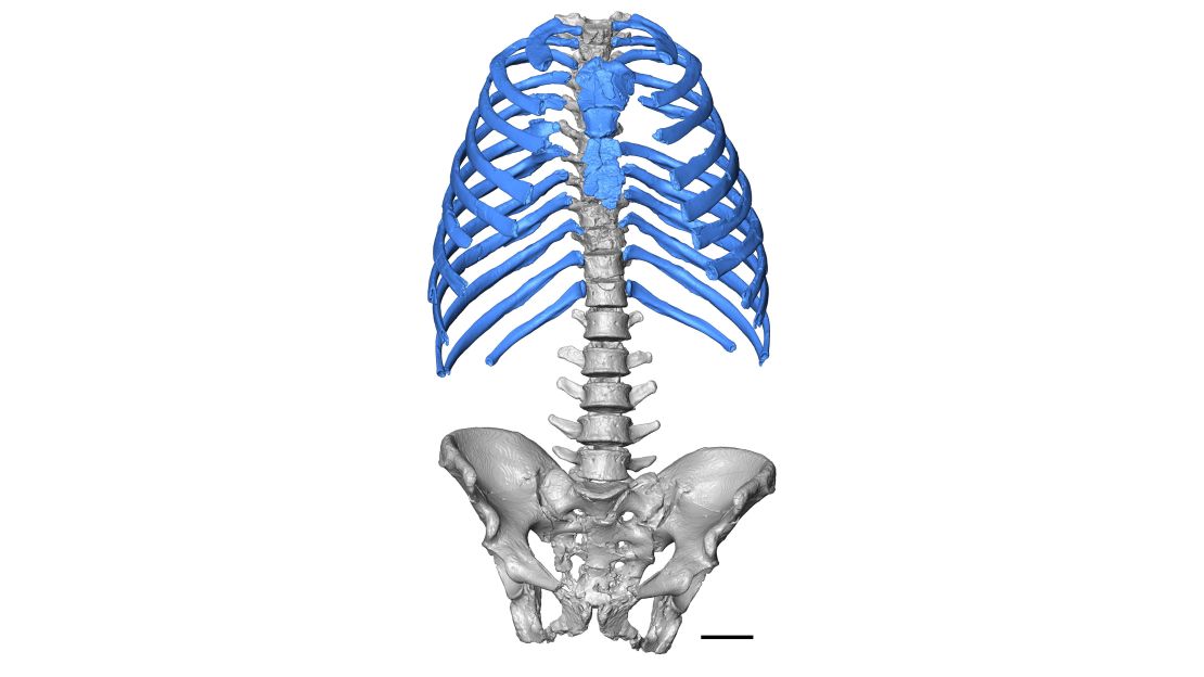 A virtual reconstruction of Kebara 2.