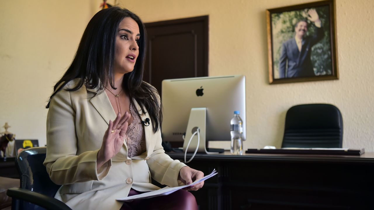 Ecuadorian congresswoman Paola Vintimilla has claimed there were "irregularities" in the process leading to Assange getting citizenship in Ecuador last year.