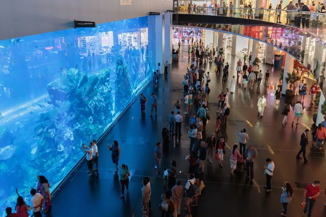 <strong>Dubai Aquarium and Underwater Zoo: </strong>There are more than 33,000 sea animals in the Dubai Aquarium and Underwater Zoo, which is one of Dubai's top tourist attractions. 