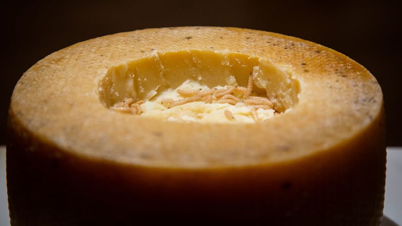 <strong>Casu Marzu:</strong> A hard Sicilian cheese left to decompose so that maggots soften its taste, it is illegal in the European Union.
